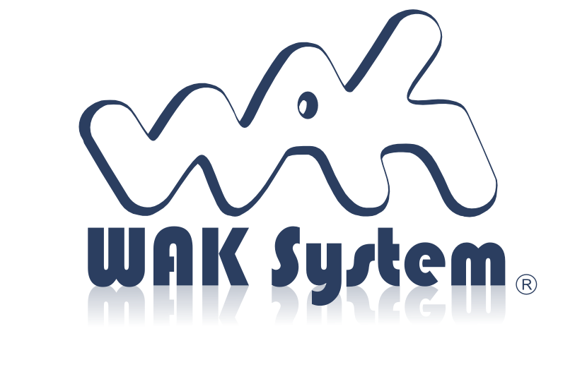 waksystem logo mono transparent